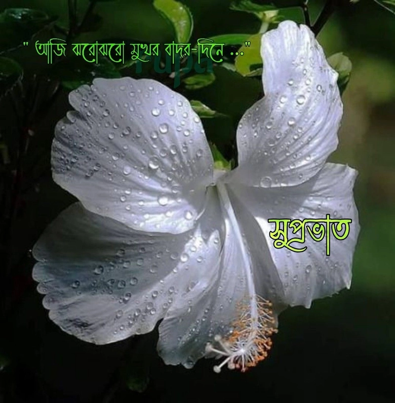 bengali good morning
