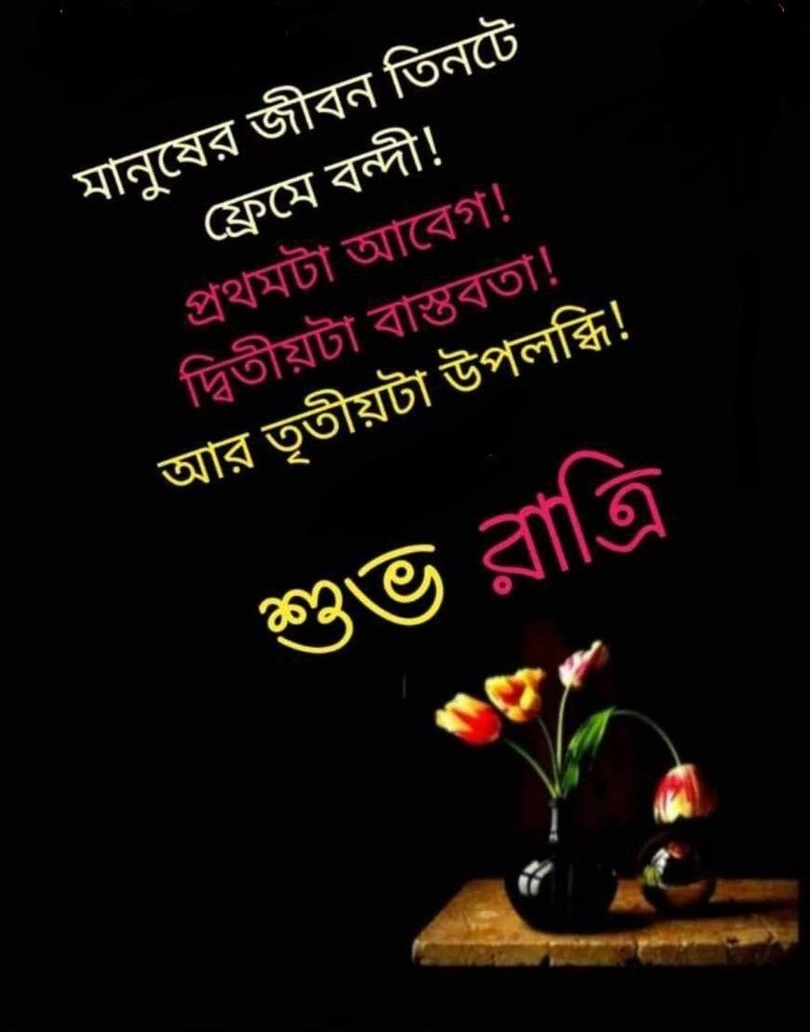 bengali good night image shayari