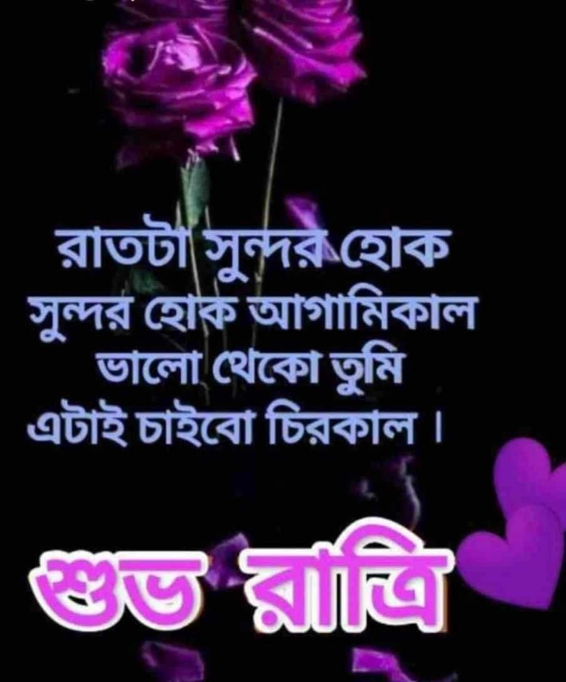 bengali good night shayari image