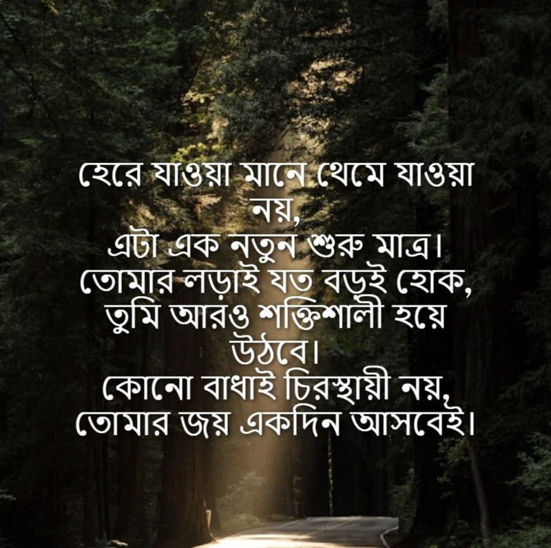 bengali motivational lines