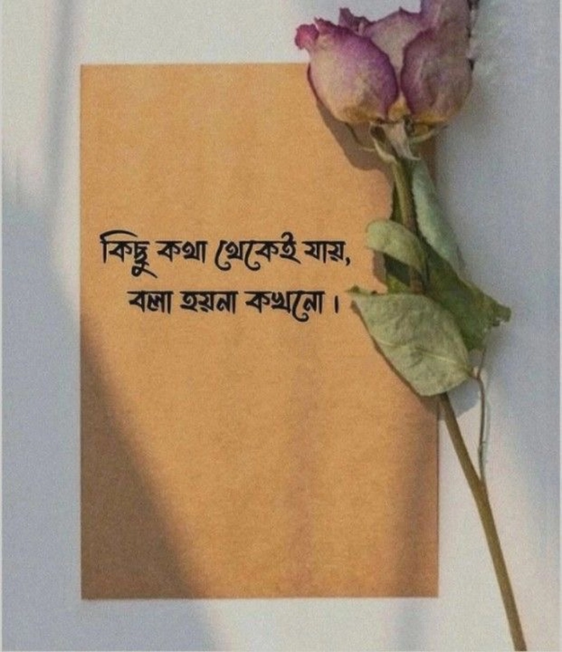 bengali sad shayari