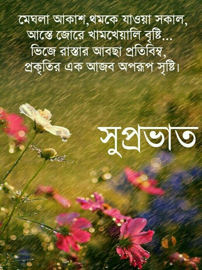 bristi bheja subho sokal