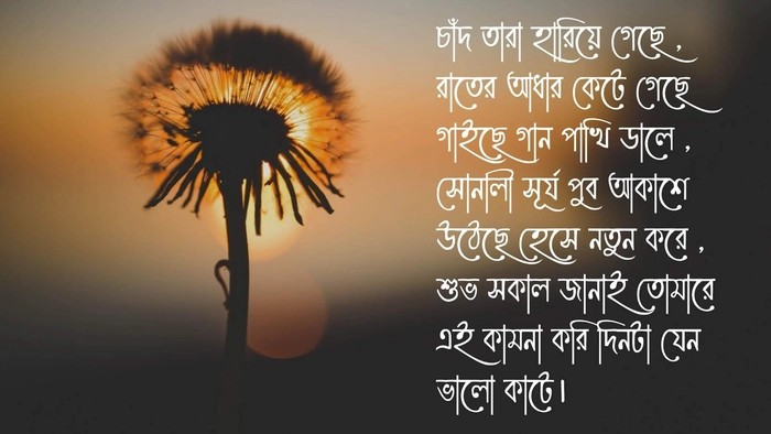 exclusive bengali subho sokal