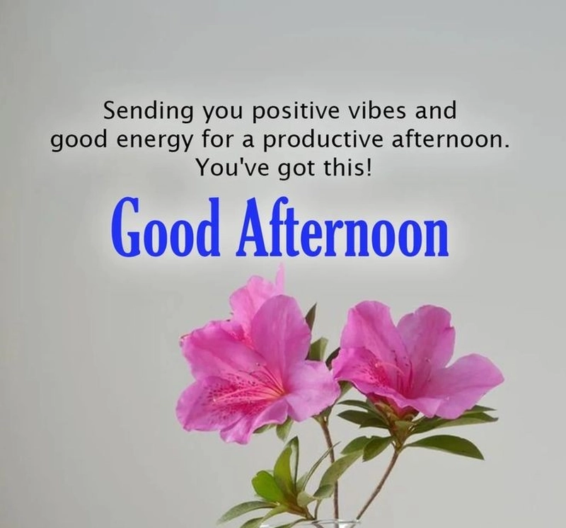 free good afternoon images with quotes for whatsapp