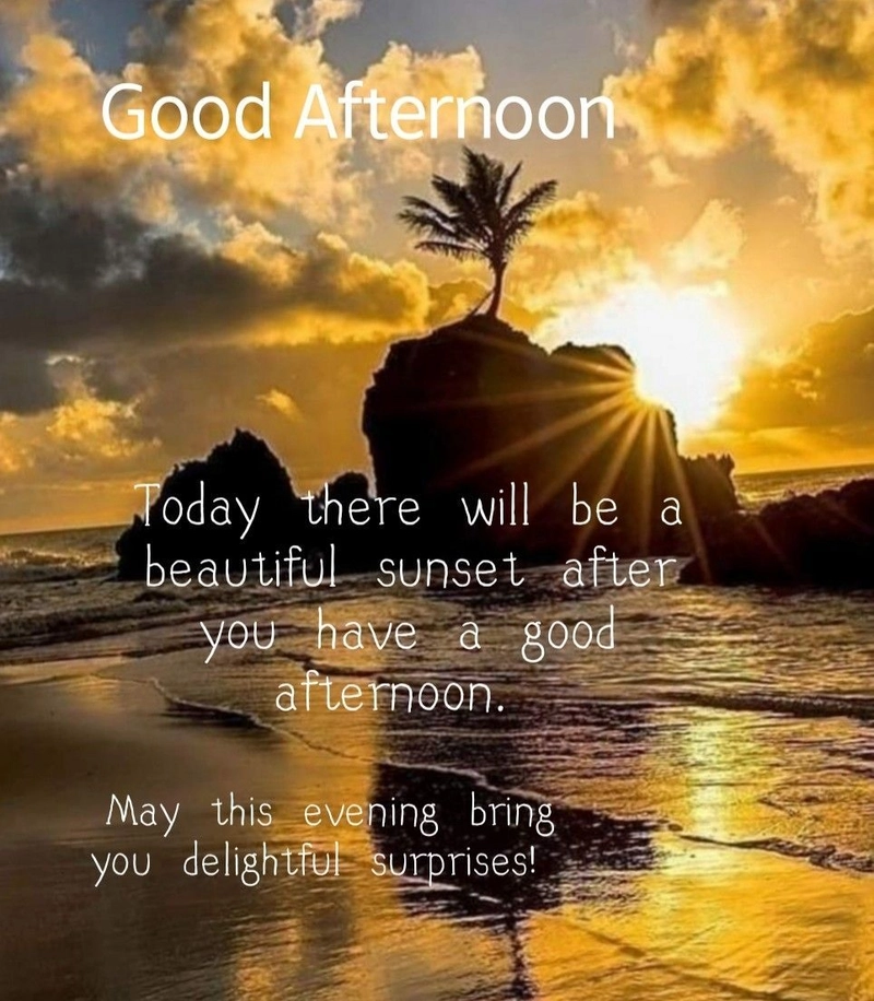 funny good afternoon quotes