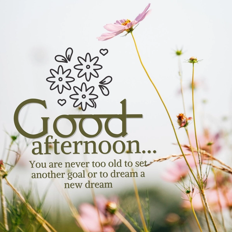 good afternoon images for whatsapp with quotes in english