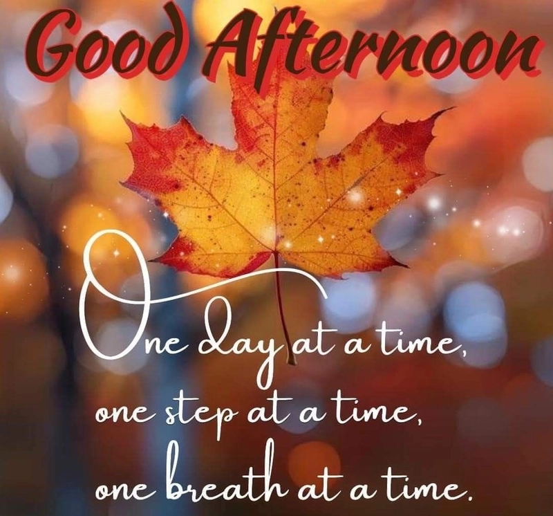 good afternoon images today with quotes