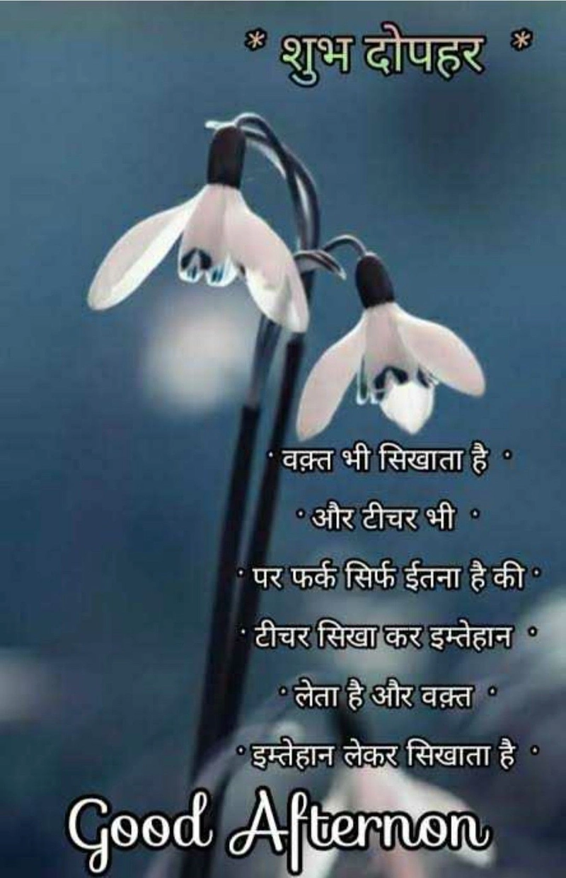 good afternoon images with quotes in hindi