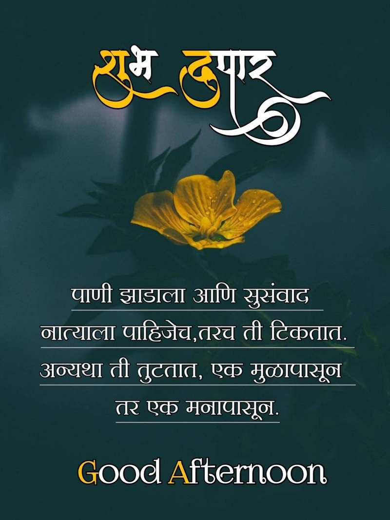 good afternoon images with quotes in marathi