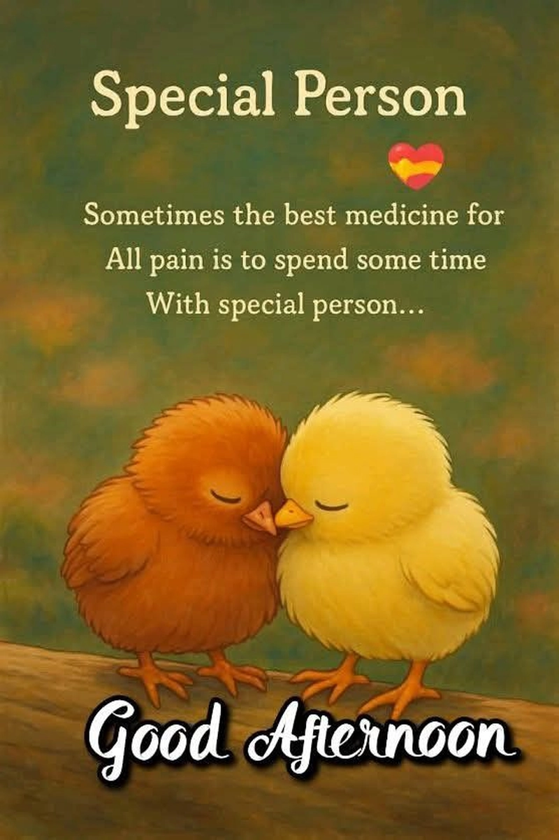 good afternoon quotes in english