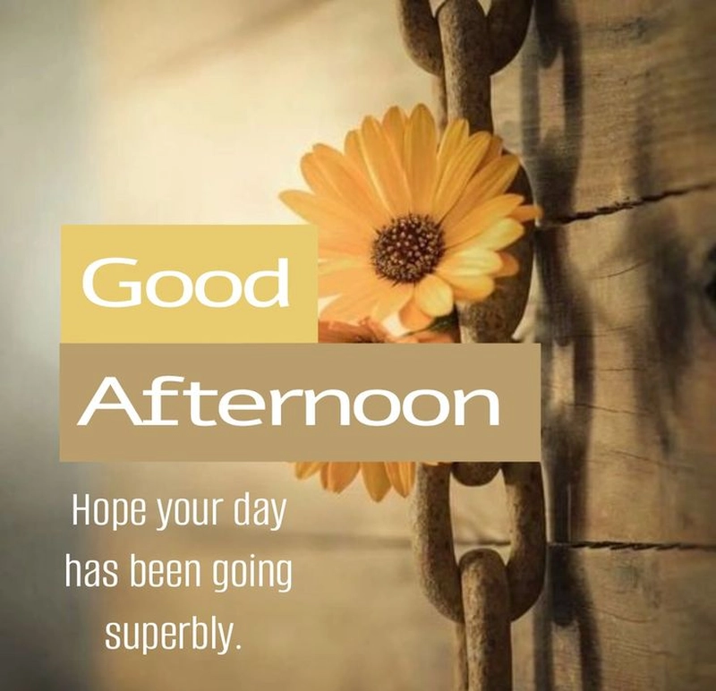 good afternoon quotes with images