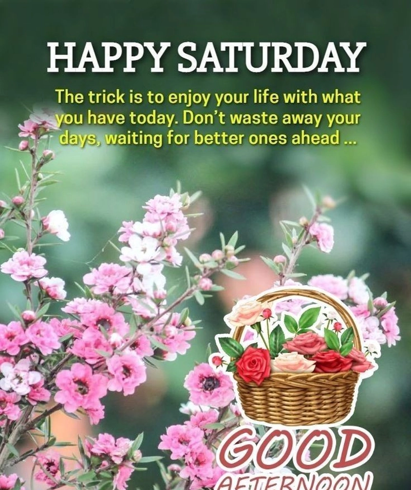 good afternoon saturday blessings images and quotes