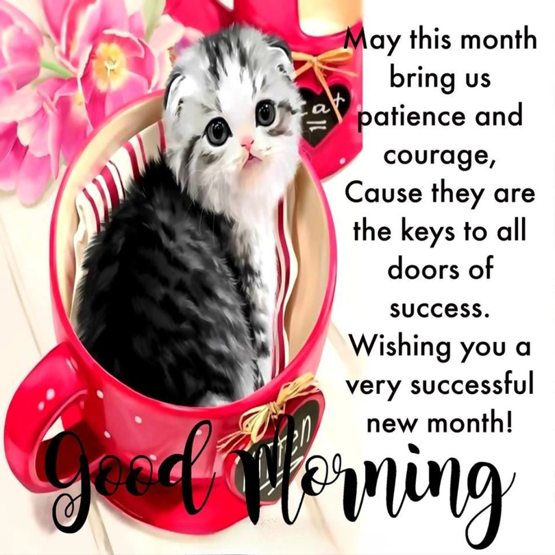 good morning and happy new month to my friend