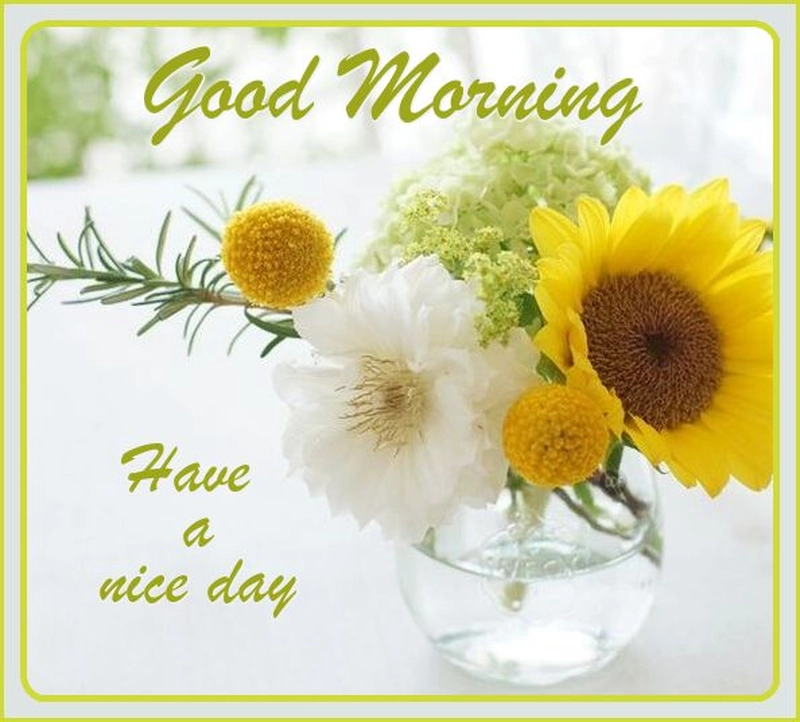 good morning beautiful flowers images for whatsapp