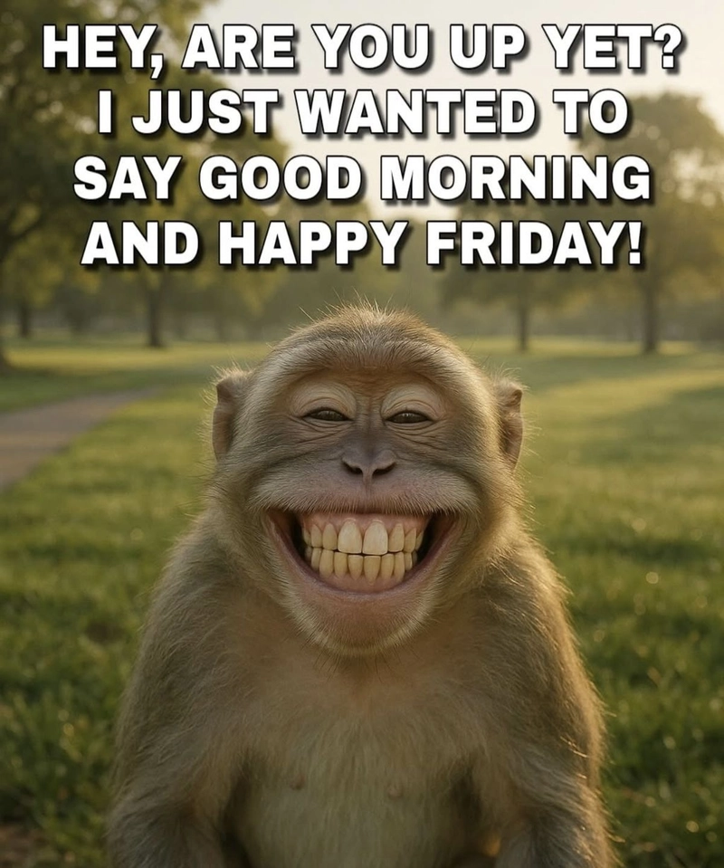 good morning happy friday meme