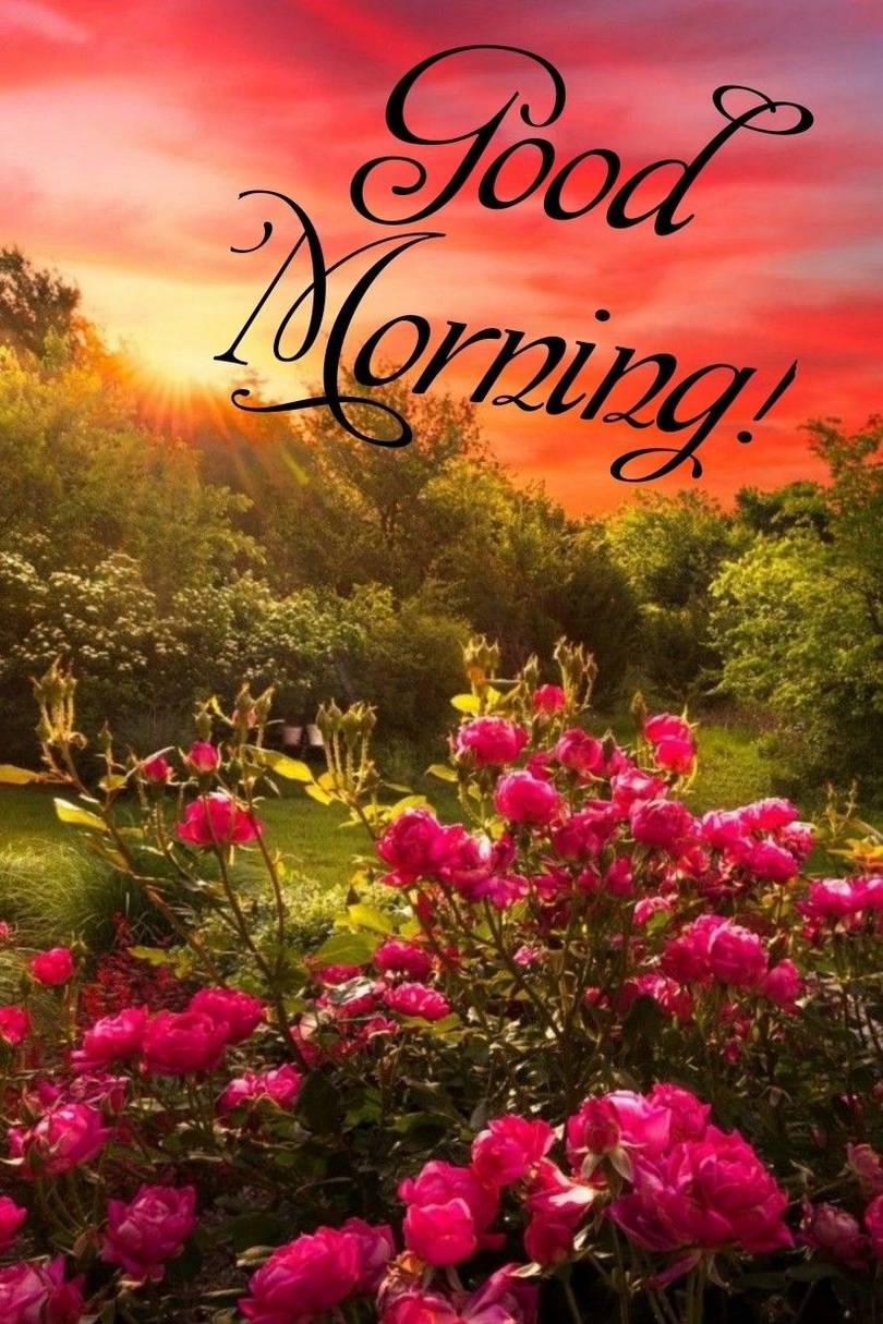 good morning hd images with beautiful nature scenery