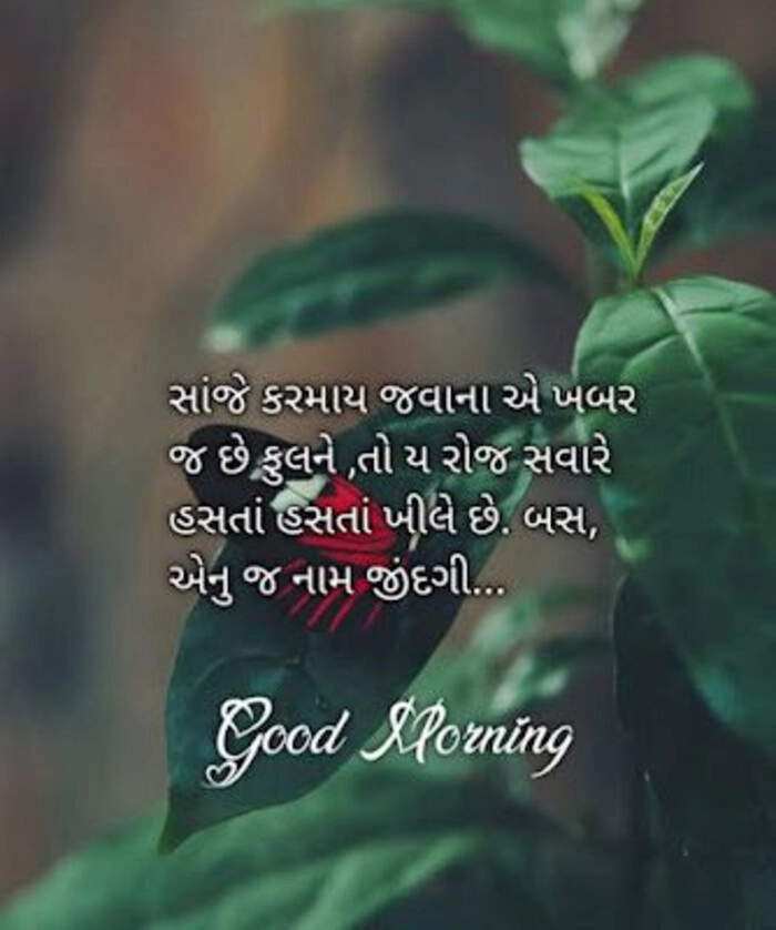 good morning images gujarati ma