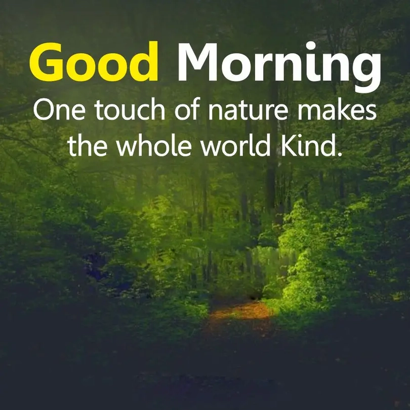 good morning images nature scenery