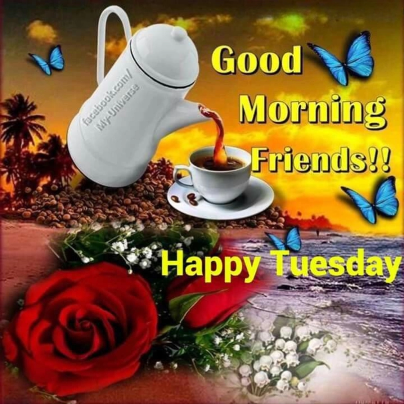 good morning my friend happy tuesday