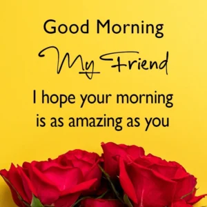 good morning my friend have a wonderful day