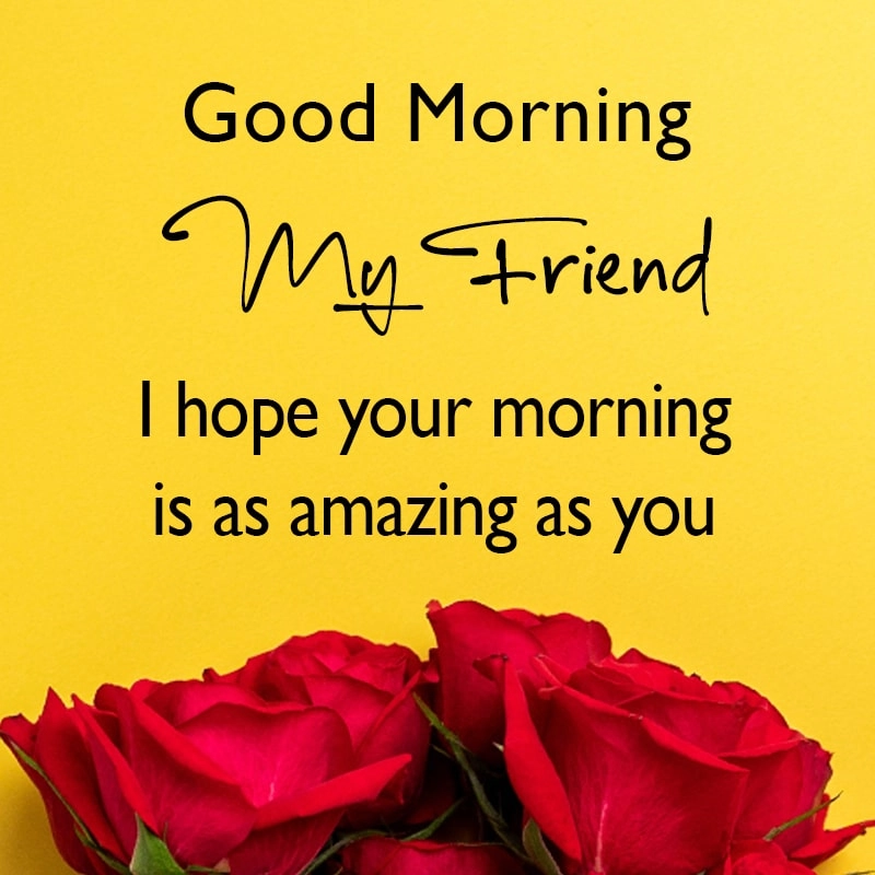 good morning my friend have a wonderful day