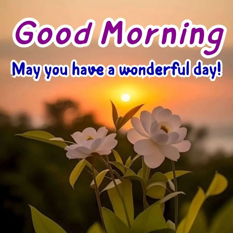 good morning scenery photos