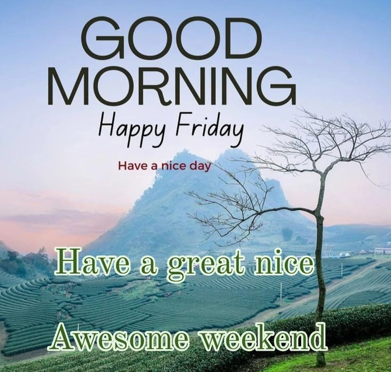 good morning team happy friday