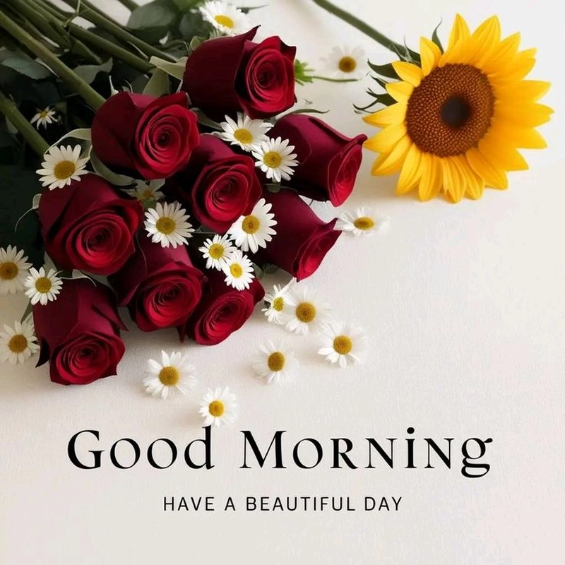 good morning with beautiful flowers download