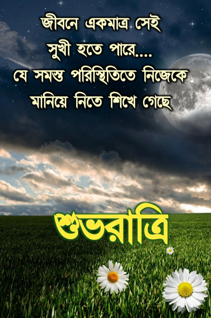 good night image bengali shayari