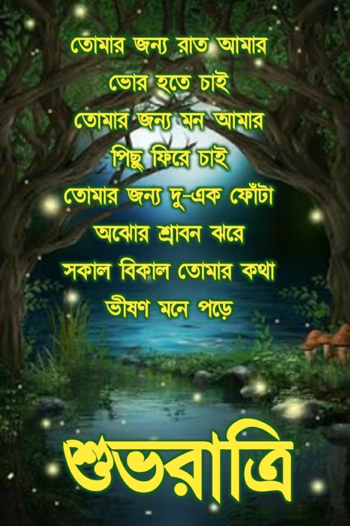 good night sad shayari bengali
