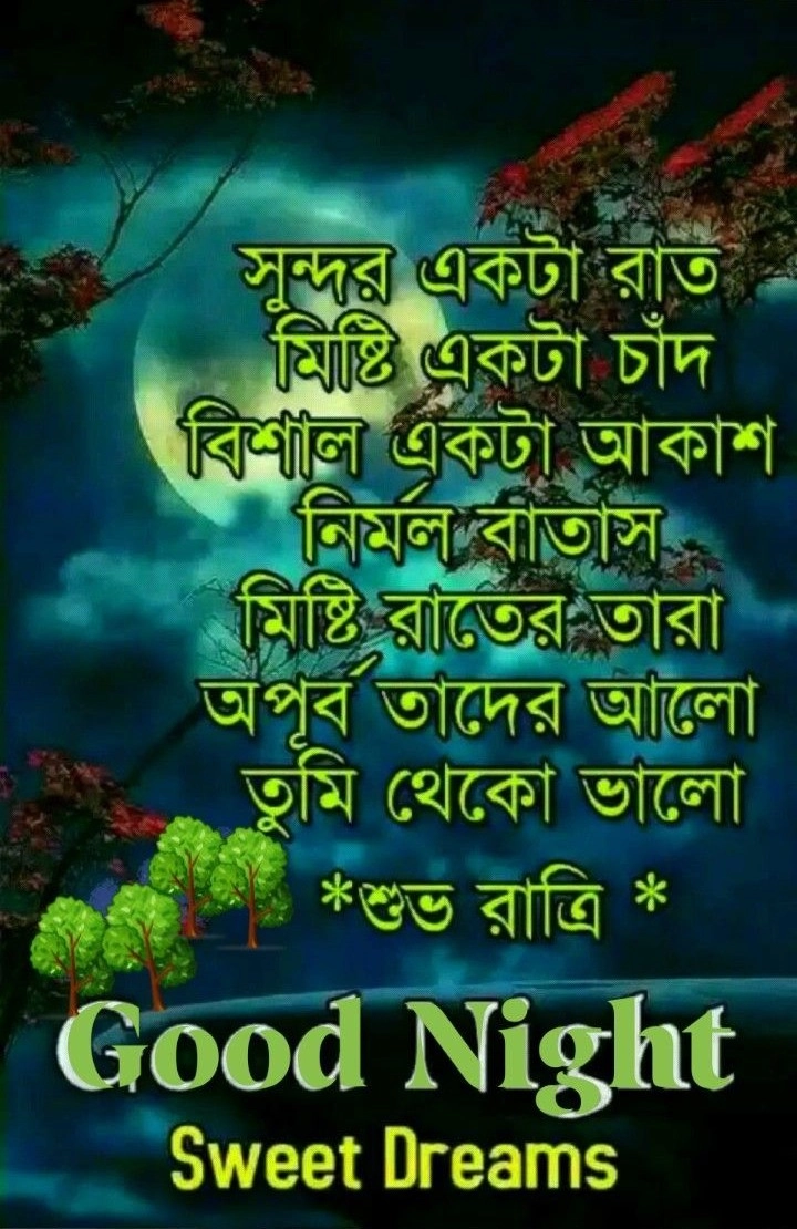 good night shayari bengali english