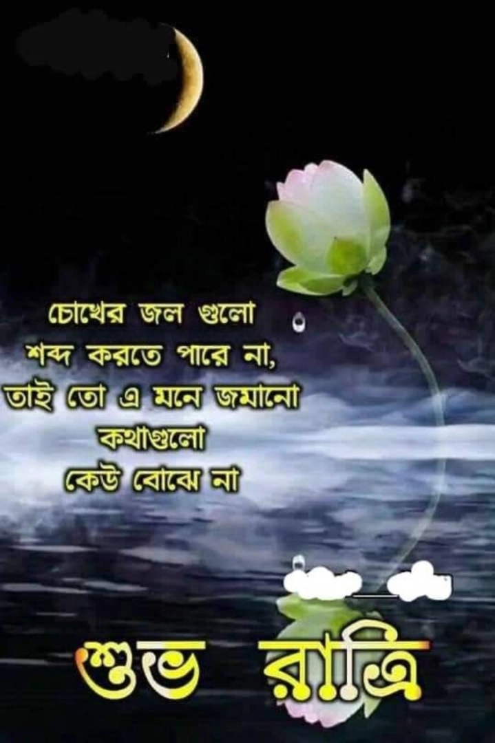 good night shayari bengali new