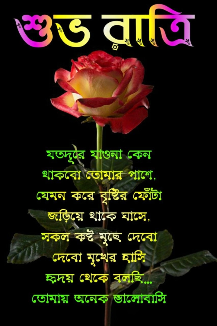 good night shayari bengali text