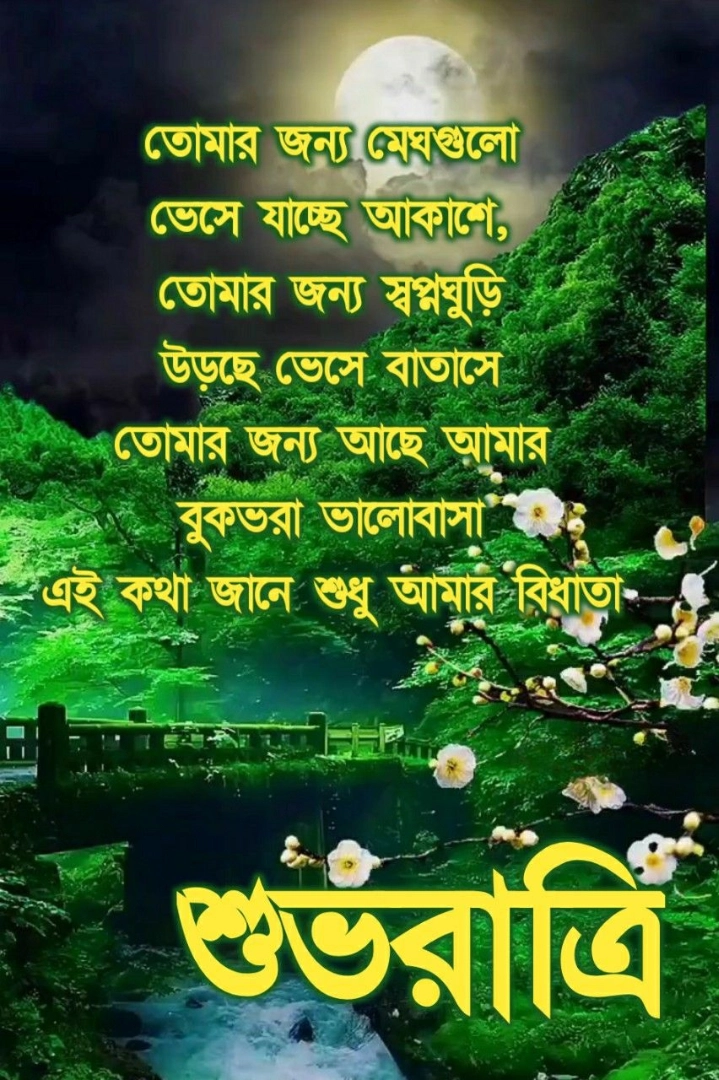 good night shayari in bengali