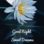 good night sweet dreams flowers images