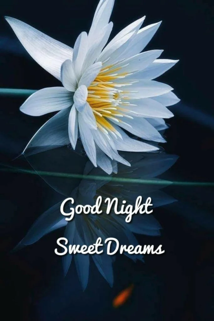 good night sweet dreams flowers images
