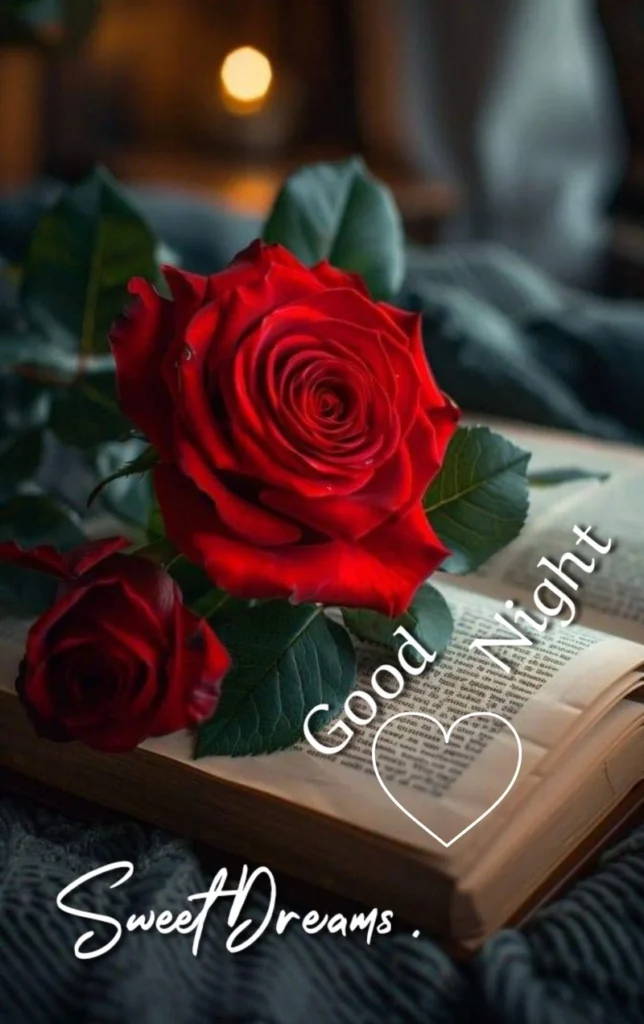 good night with roses