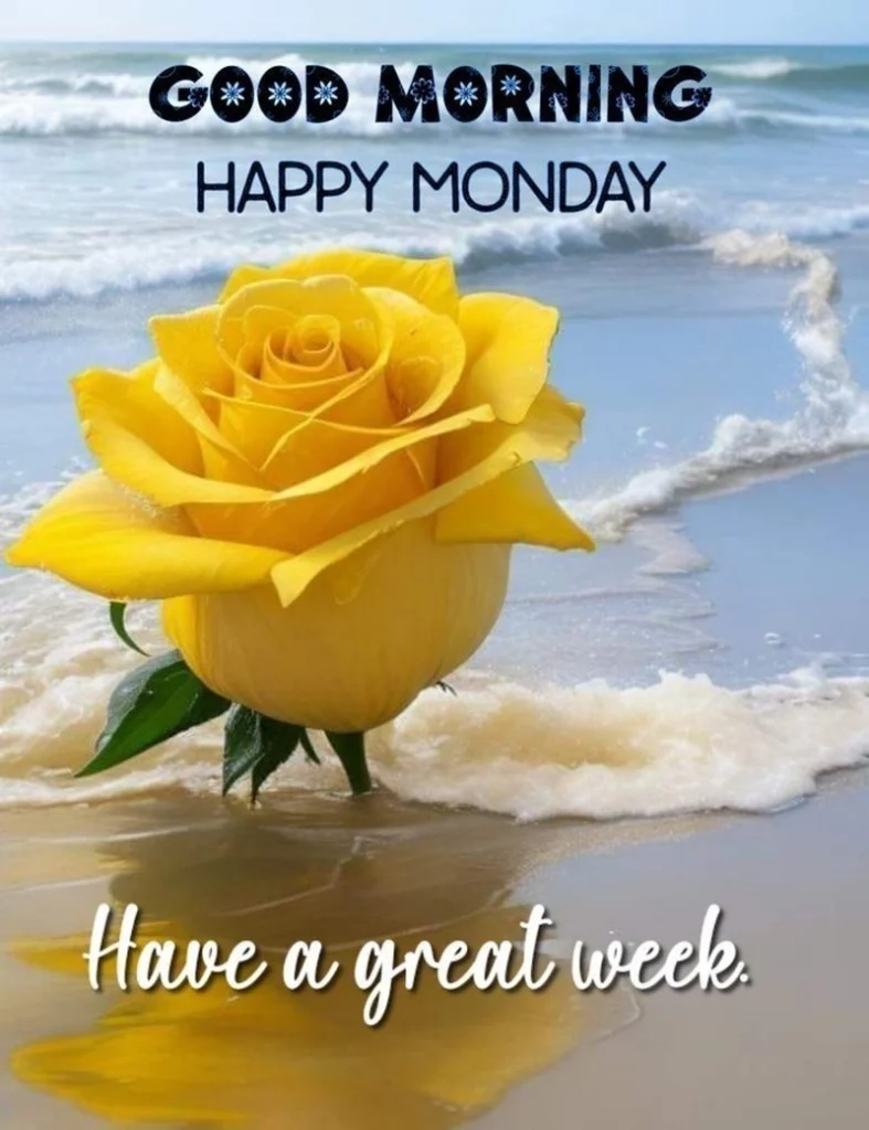 happy monday good morning monday yellow