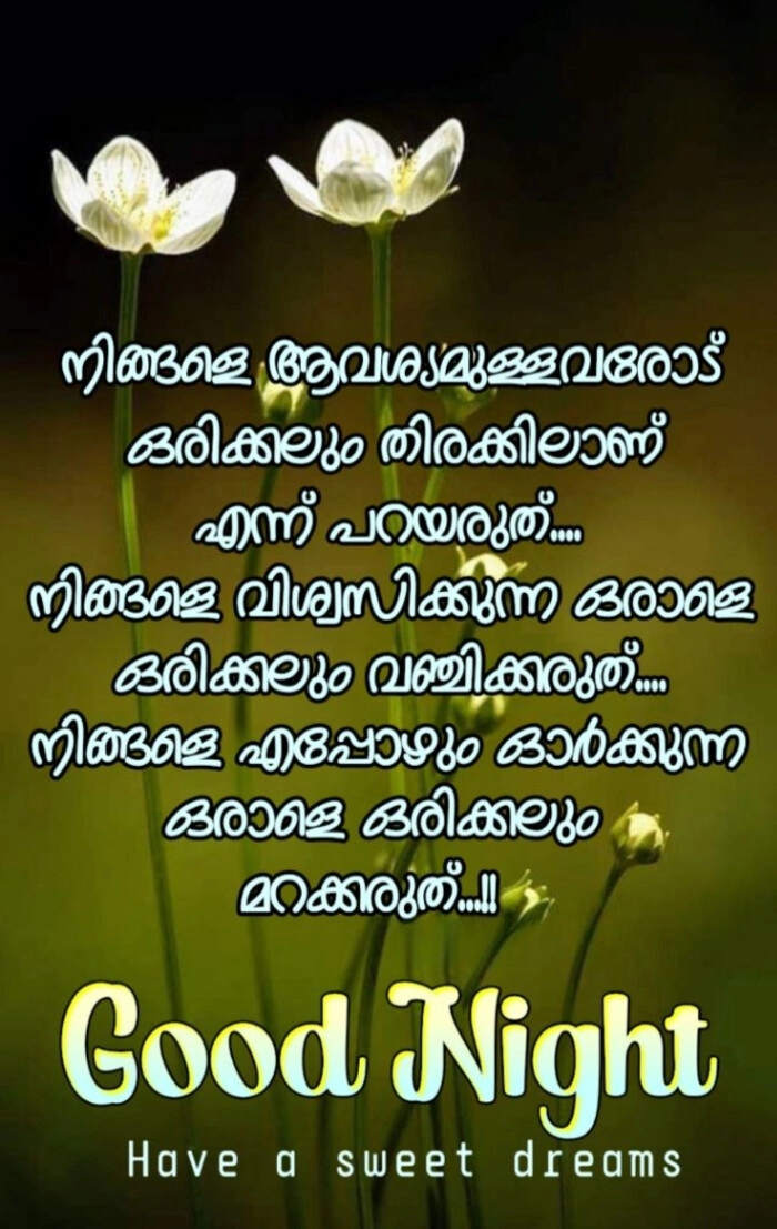 love good night images with quotes