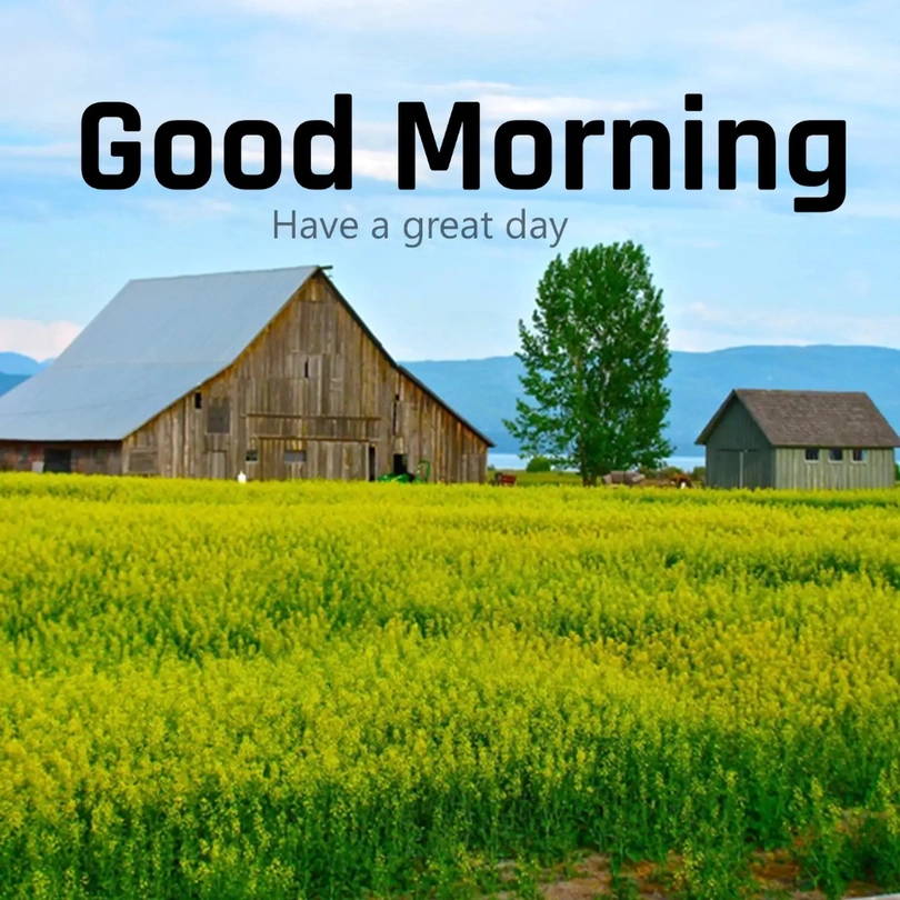 morning nature scene