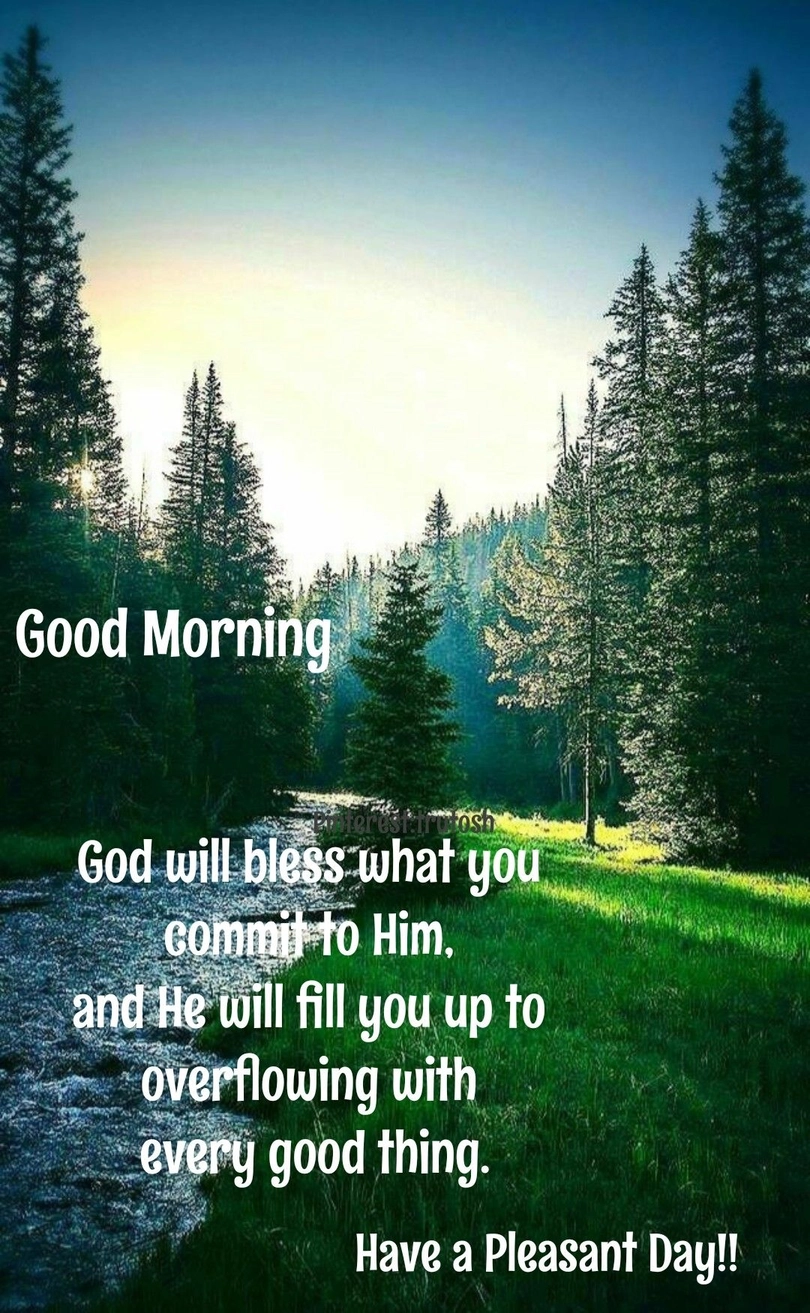 morning scenery quotes