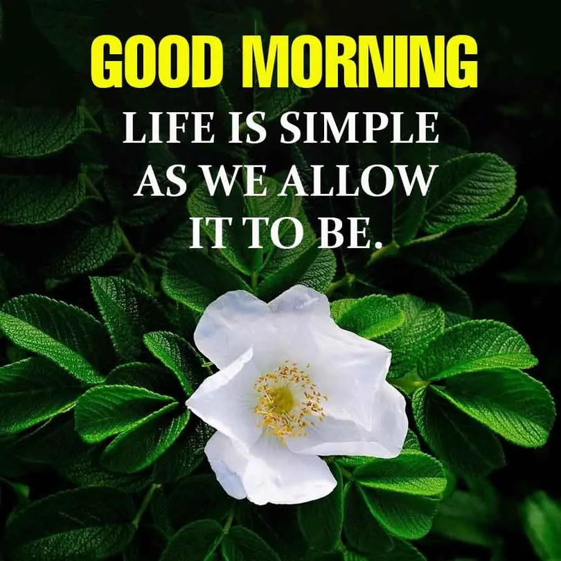 most beautiful natural scenery