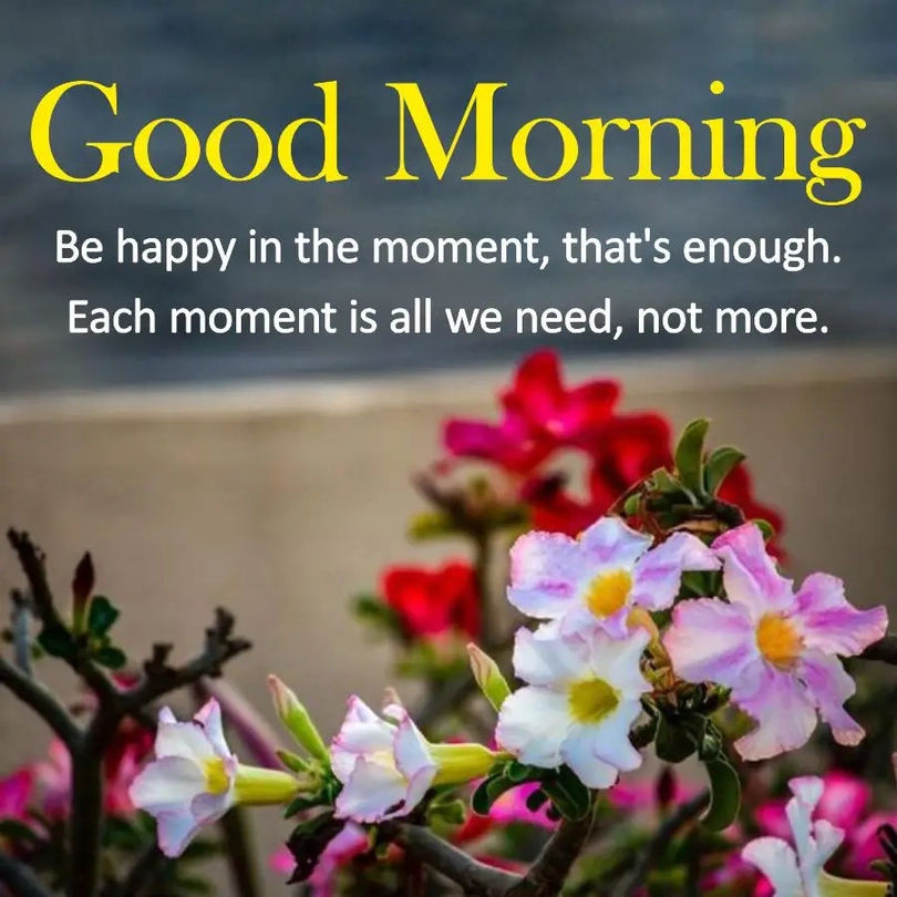 natural scene good morning images