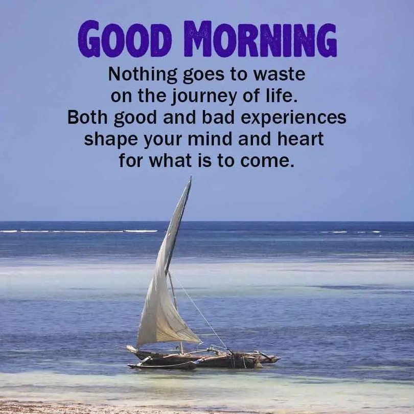 natural scene good morning