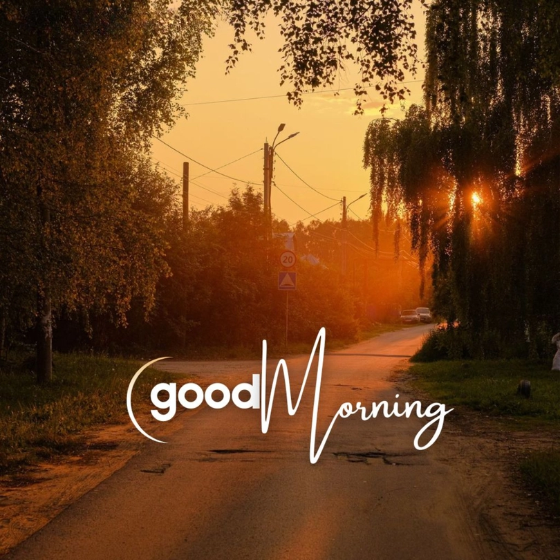 nature beautiful good morning scenery