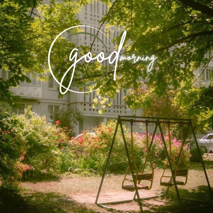 nature beautiful scenery nature good morning happy sunday