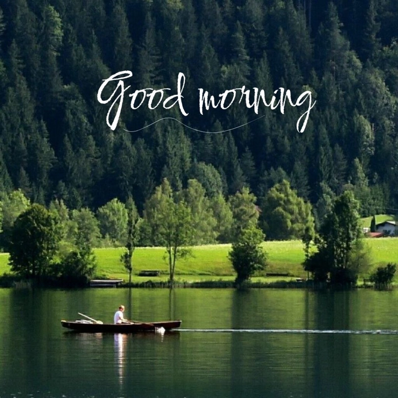 nature good morning scenery