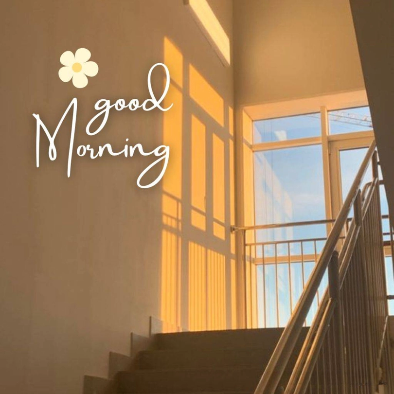 nature scenery good morning