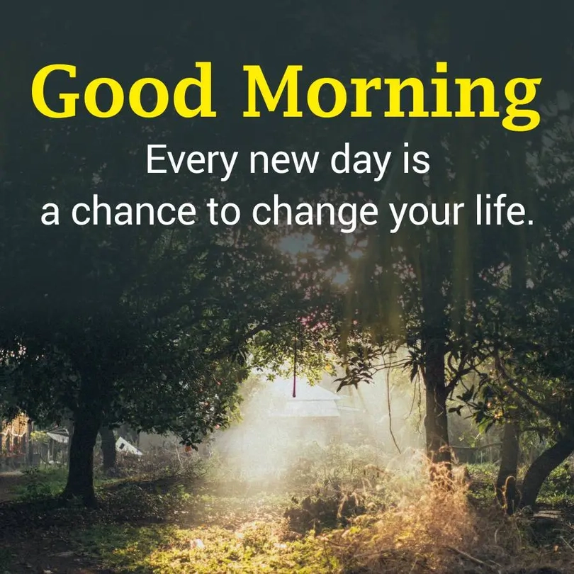 nature scenery near me