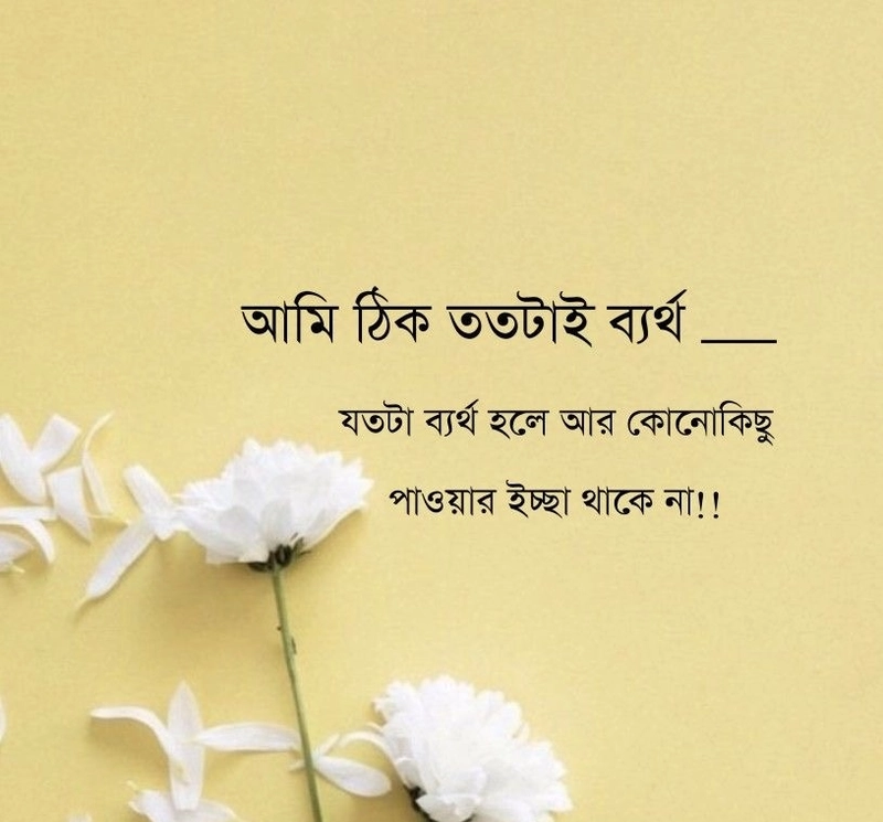 new sad shayari bangla